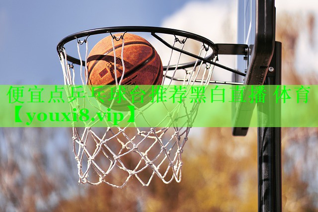 便宜点乒乓球台推荐黑白直播 体育