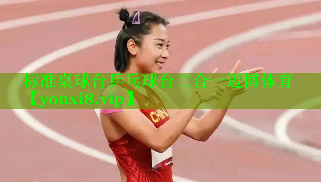 标准桌球台乒乓球台二合一迈博体育