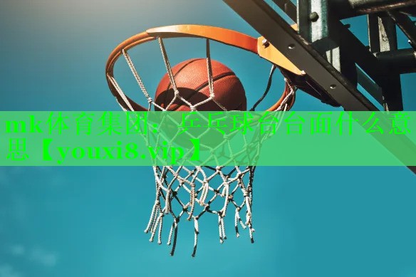 乒乓球台台面什么意思